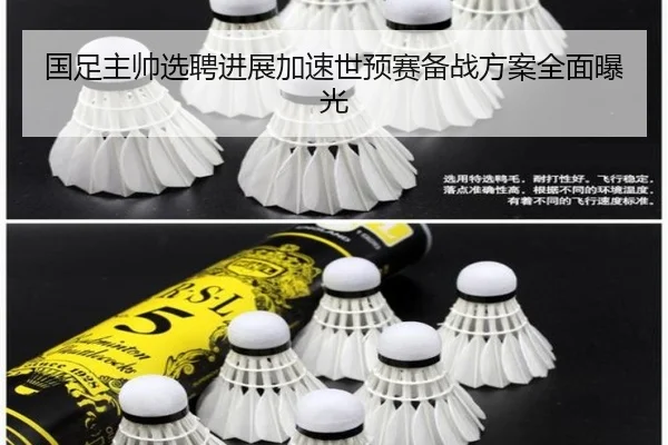 国足主帅选聘进展加速世预赛备战方案全面曝光 - leyu