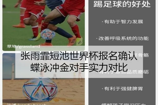 张雨霏短池世界杯报名确认 蝶泳冲金对手实力对比 - leyu